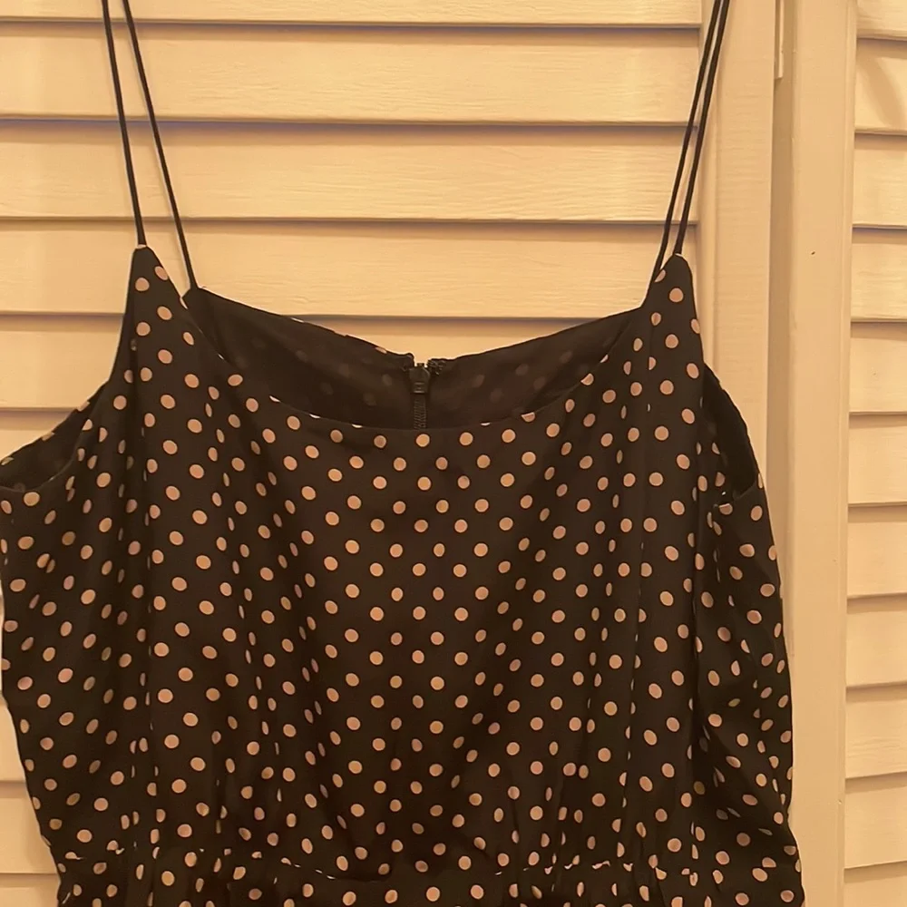 J crew polka dot dress - Picture 12 of 12